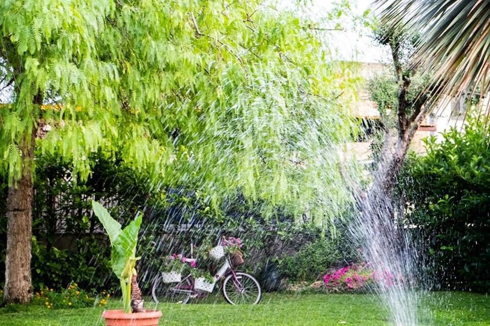 سارنو Almi B&B المظهر الخارجي الصورة
